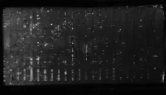 势创智能ELPL一体机成像图5