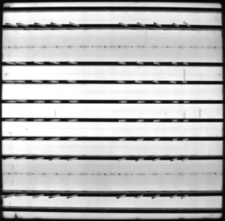 EL轻微+严重断栅