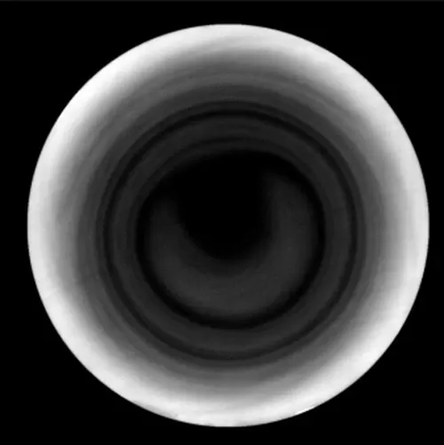 黑心黑环晶圆切片